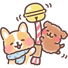 fluffy fat Corgi Warm even in winter TWN