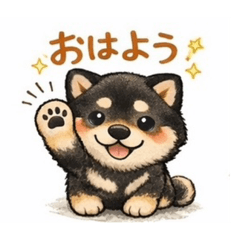 choco_20260113185904