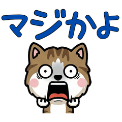 Overreaction Brown&White 3rd