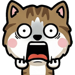 Overreaction Brown&White 1st