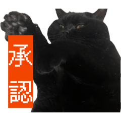 dekaneko7_20260114012557