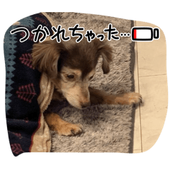 saya._20260114000028