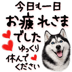 Siberian Husky Big Letter Polite Phrases