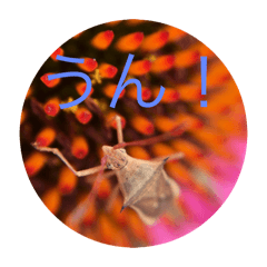 soucho_20260111202317