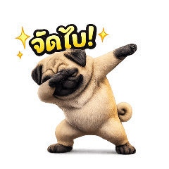 Nadech Sirikong_20260114031556