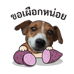 KridsadaYod_20260114083628