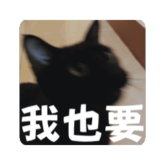 家有黑糖糖