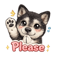 Emma the black Shiba 2