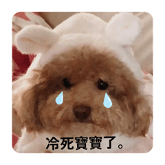 娜塔麗的好朋友泡芙小姐