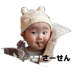 sakura_20260113215230