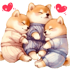 【一年中使える】動く癒しの柴犬