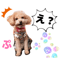 PuuRuuTan_20260113215158