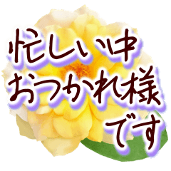 やさしい大人の花敬語✿一年中ずっと使える