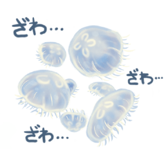 Funny Jellyfish with Japanese phrases