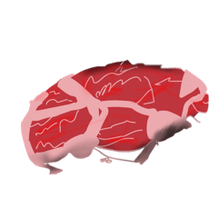 yui14_20260113224322