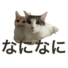 imoani_20260113234643