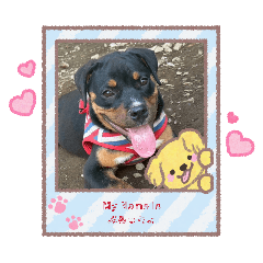 kana_20260114083819