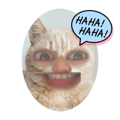 Tomoka_20260114181533