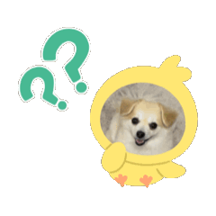 Risa_20260114163701