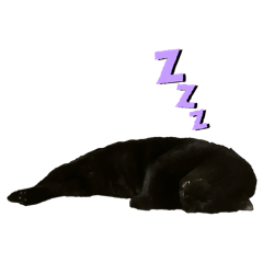 yusaku2_20260114192612