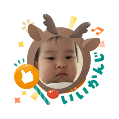 hachi_20260114193016