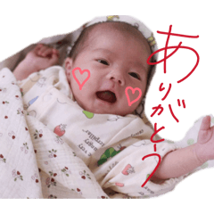 IKU_20260114200155