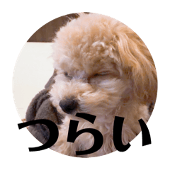 tsuyu_20260114210952