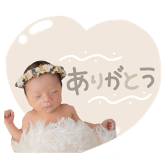 Ciela_20260114225155