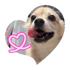 mi-na_20260114224539