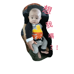 幸福星甫