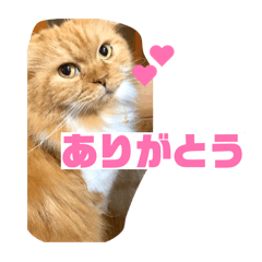 yuka_20260114140221