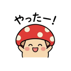 mush_20260114202608