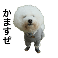 onoponpoko_20260114203156