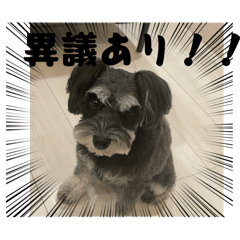 Tutuki_20260114223436