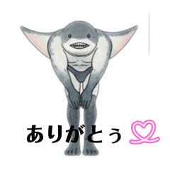 masshun_20260114223443