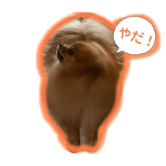 enana stamp_20260114223359