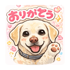 Yuzu-Riku_20260114223306