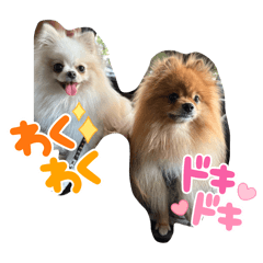 enana stamp_20260115000539