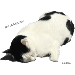 Ariii_20260113233825