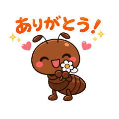 kiichi_20260114081415