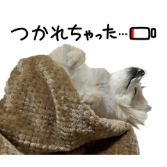 mofume_20260115090424