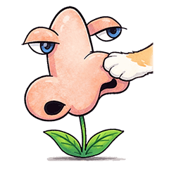 HANA (nose and flower)