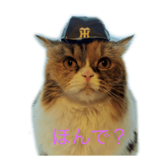 tatsuya_20260114160243