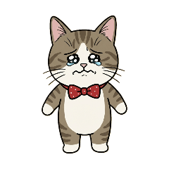 PONZU_20260114174019