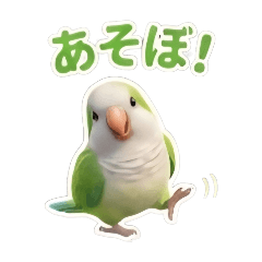 KIKORO_20260114122957