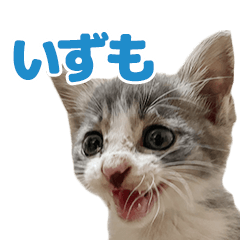 izumo_no_itsumo (24')