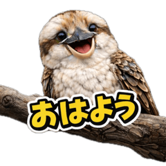 Happy Animal_Kookaburra 2