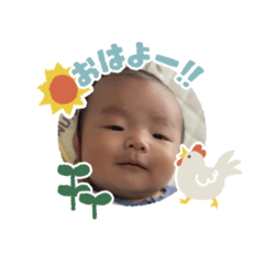 sanae_20260113210631