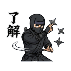 Cool Ninja & Kunoichi 2