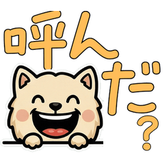 Overreaction Cream Chihuahua 3rd